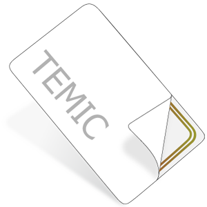 TEMIC